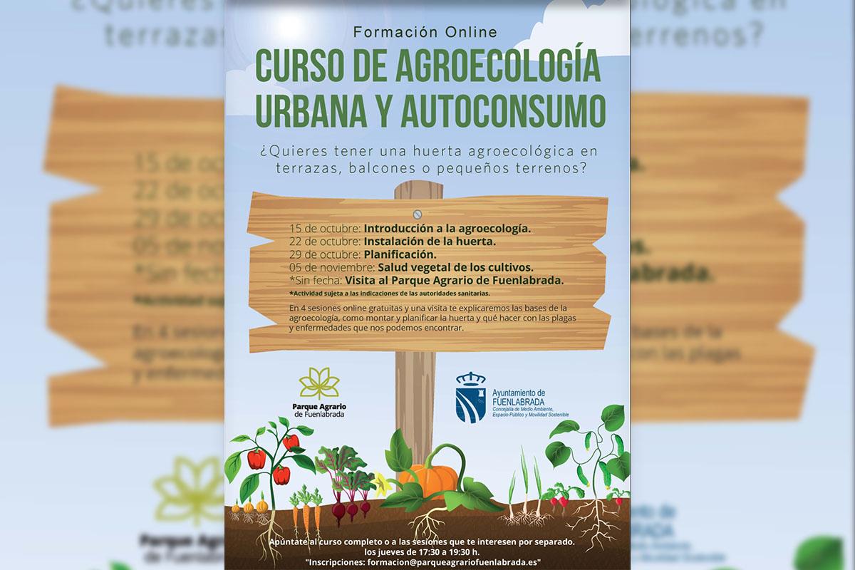 Cultivar en casa ahora es más fácil