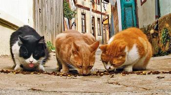 El 26 de octubre se realizará la formación correspondiente en el municipio