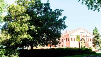 Dirigido a niños y jóvenes de entre 4 y 16 años