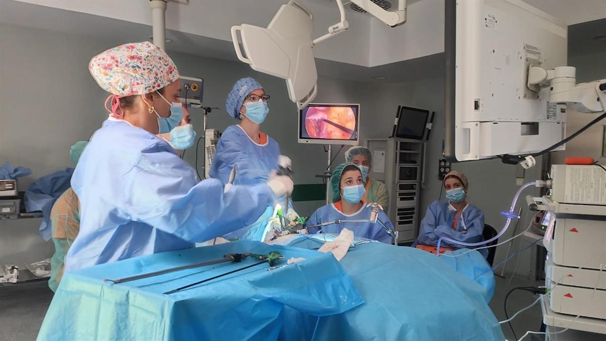 El Servicio de Cirugía General y el Aparato Digestivo ha celebrado la décima edición del curso anual sobre esta terapia para los pacientes con obesidad
