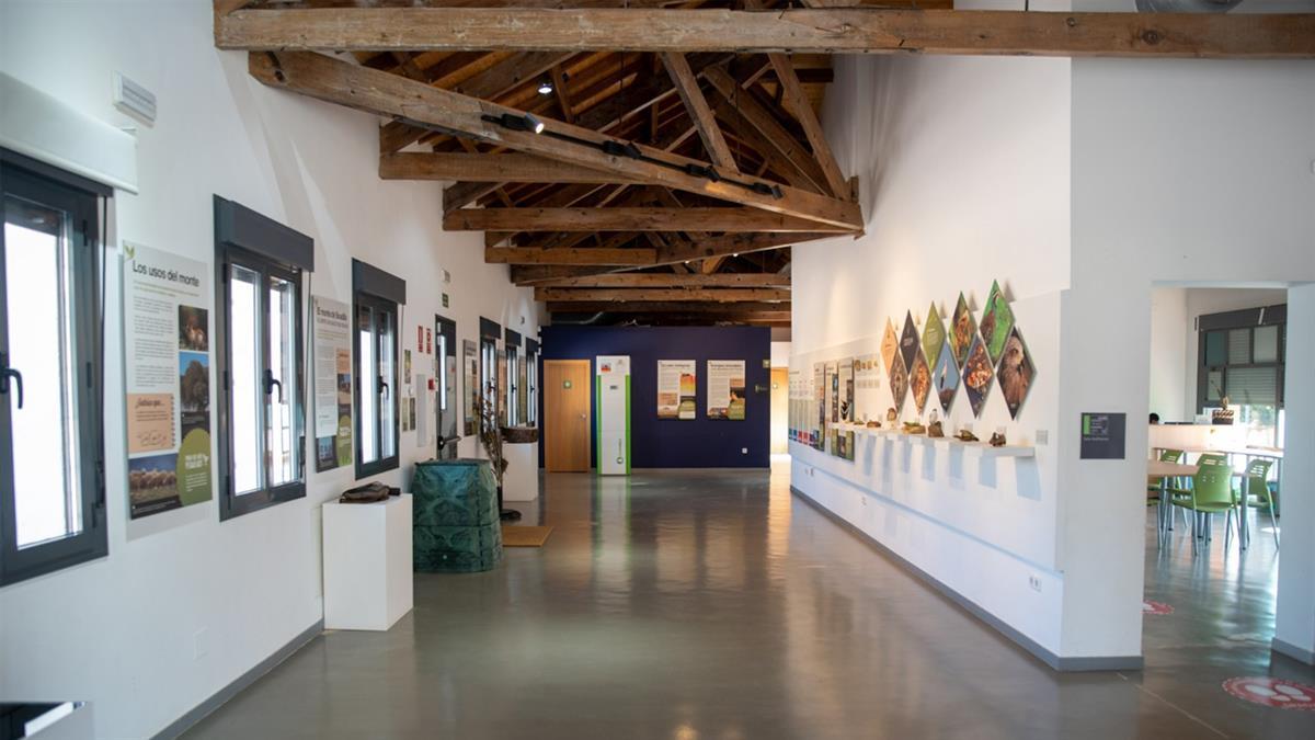 El Aula Medioambiental ofrece también voluntariado y rutas interpretativas dentro de su programación, ¡no te quedes con las ganas de seguir aprendiendo!