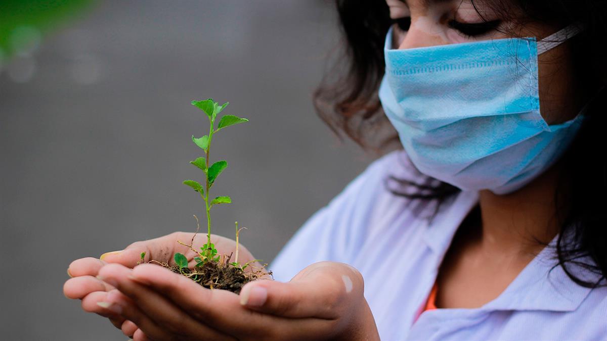 En un estudio previo se identificaron más de 200 síntomas que se manifiestan en 10 sistemas de órganos diferentes