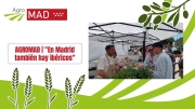 ‘Del campo madrileño a tu mesa’ triunfa en Arroyomolinos con productos sorprendentes y de alta calidad