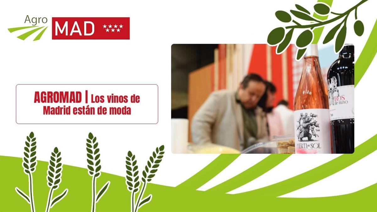 El presidente de la D.O. Vinos de Madrid comparte los retos de un producto que “va a más”