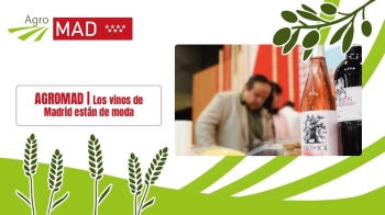 El presidente de la D.O. Vinos de Madrid comparte los retos de un producto que “va a más”