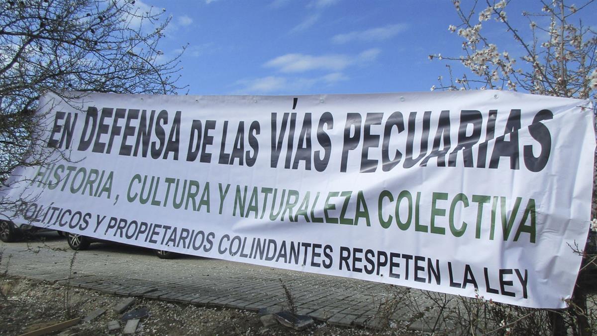 Ecologistas en Acción insta al Ayuntamiento de Alcalá y la Comunidad de Madrid a que mejoren la situación de la zona