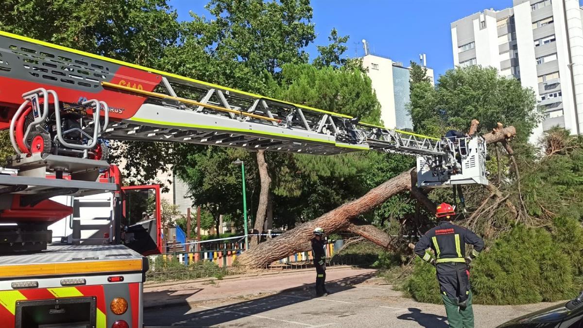 El Gobierno de Piquet defiende la transformación "integral" de esta zona frente a las denuncias de la AV Cisneros