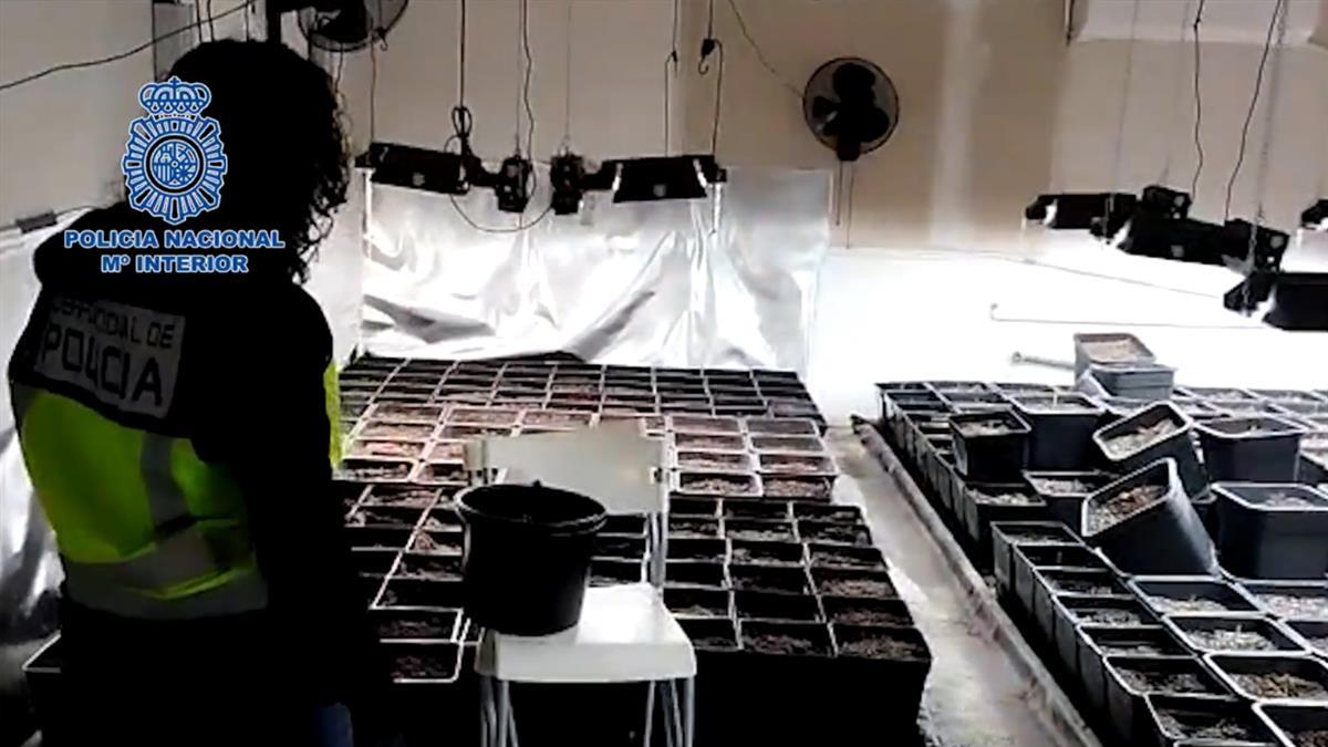 La organización, conformada por miembros de la misma familia, tenía una alta capacidad de producción