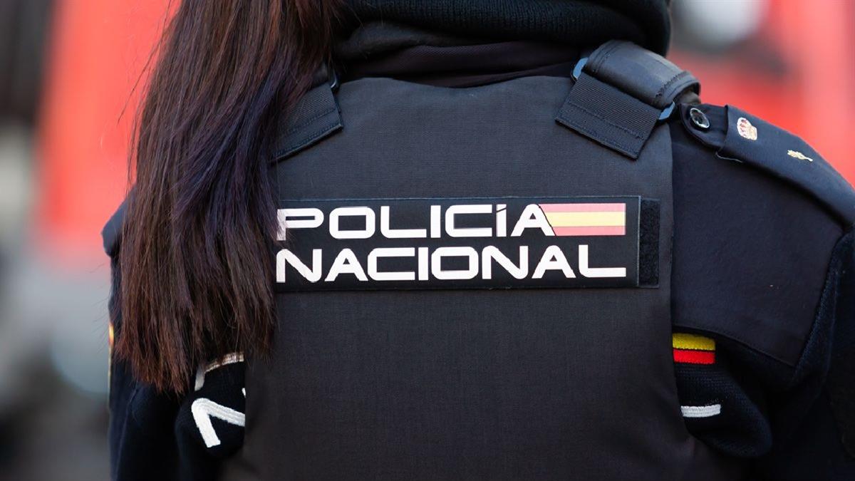 Los 12 arrestados pasaron a disposición de la autoridad judicial como presuntos responsables de los delitos 