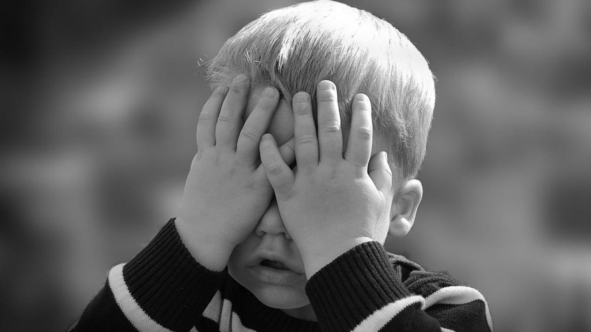 La familia también se puso en contacto con la Dirección de Área Territorial de Alcalá sin obtener ninguna solución