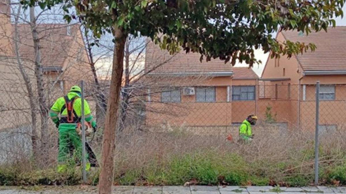 Estas labores se enmarcan en el plan preventivo que cada año pone en marcha el Área de Medio Ambiente
