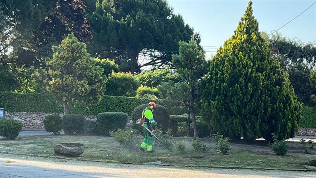 Ante el riesgo de incendios vigente