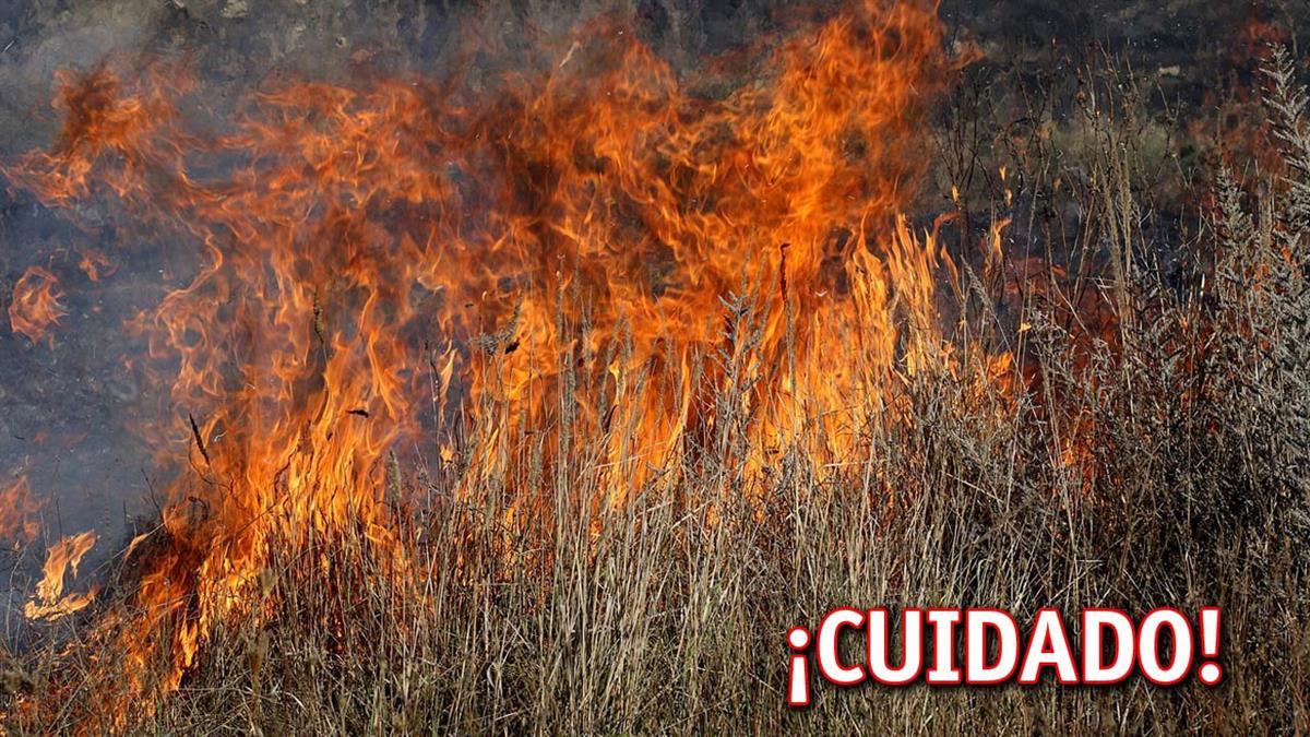 En la época de peligro está prohibida la quema de restos vegetales