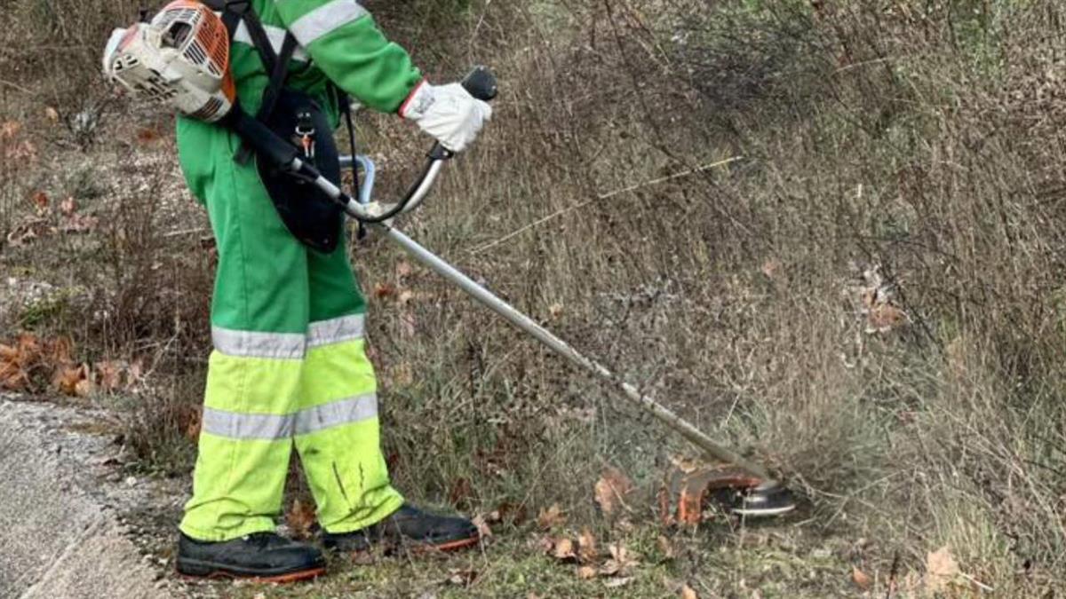 Se extenderán por un plazo aproximado de 20 días