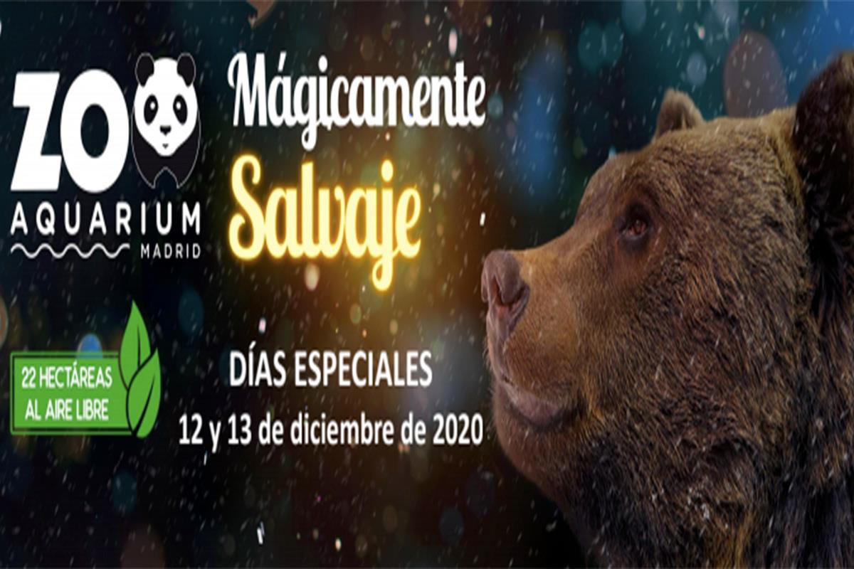 Los vecinos de Alcalá de Henares podrán disfrutar de descuentos espaciales