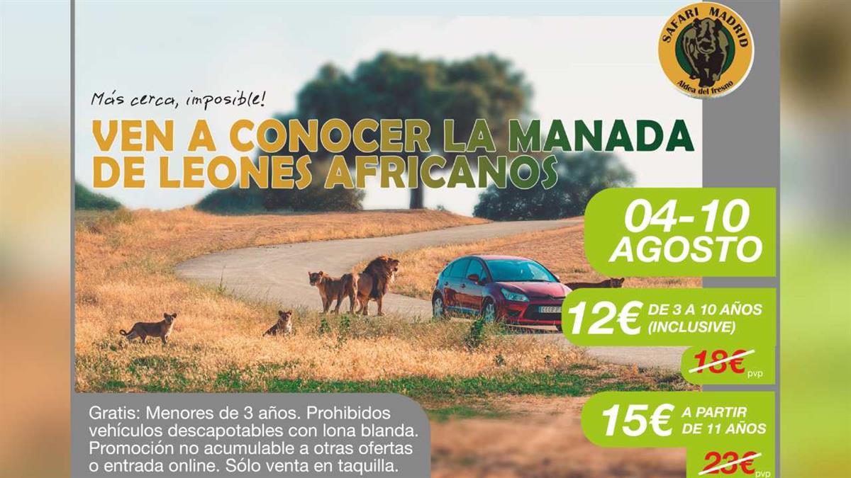 La oferta será válida para un titular y tres acompañantes