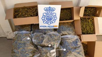 La investigación se inició por parte de la Brigada Local de Policía Judicial en colaboración con la Brigada Provincial de Policía Judicial de Madrid