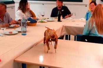 La Comunidad de Madrid abre investigación tras las "quejas y denuncias" de familiares de internos