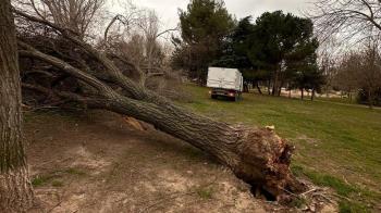 Se registraron rachas cercanas a los 100 km/hora y se decretó el cierre de parques y jardines