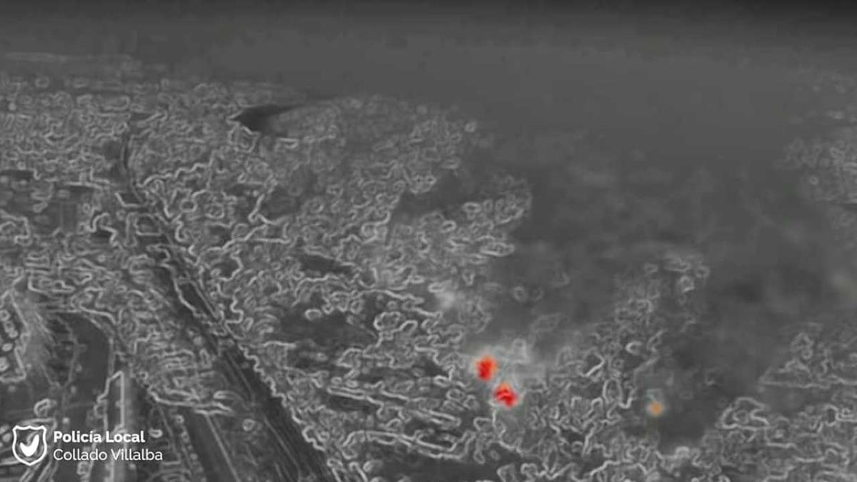 En total se quemaron más de 6.000 metros cuadrados 