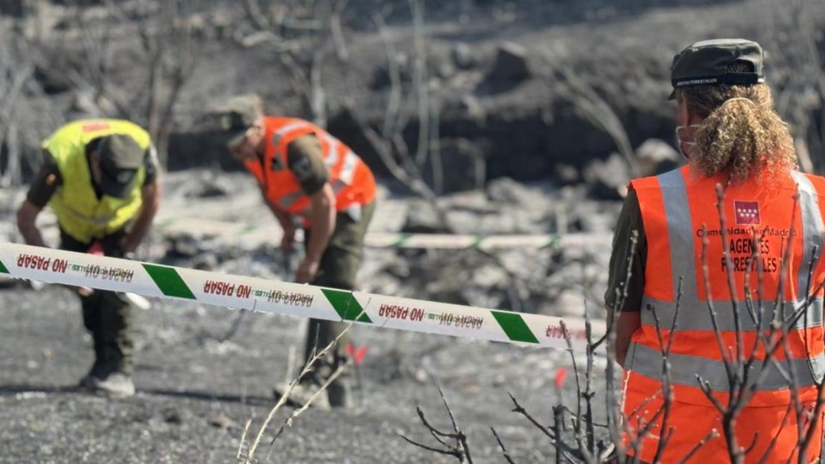 La Comunidad de Madrid identifica a los presuntos autores