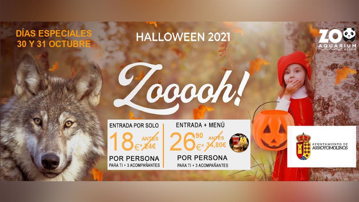 Los días 30 y 31 de octubre, para celebrar Halloween