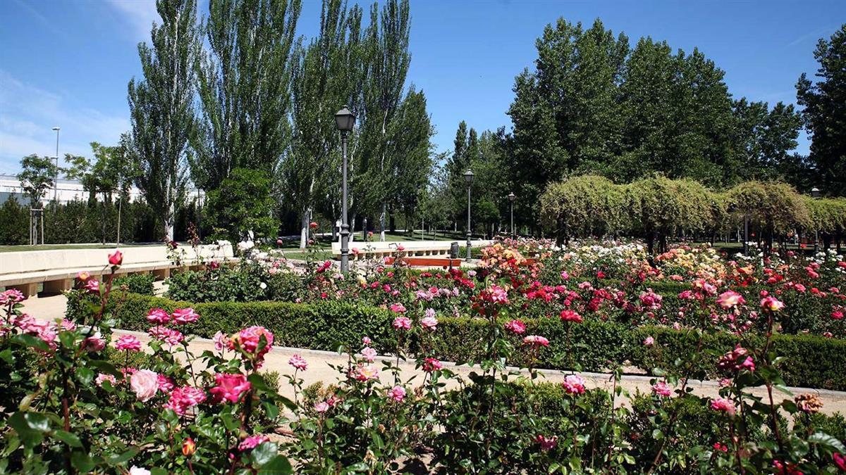 Con más de 19 metros cuadrados de zonas verdes por habitante, la ciudad sigue comprometida con el cuidado de su entorno 