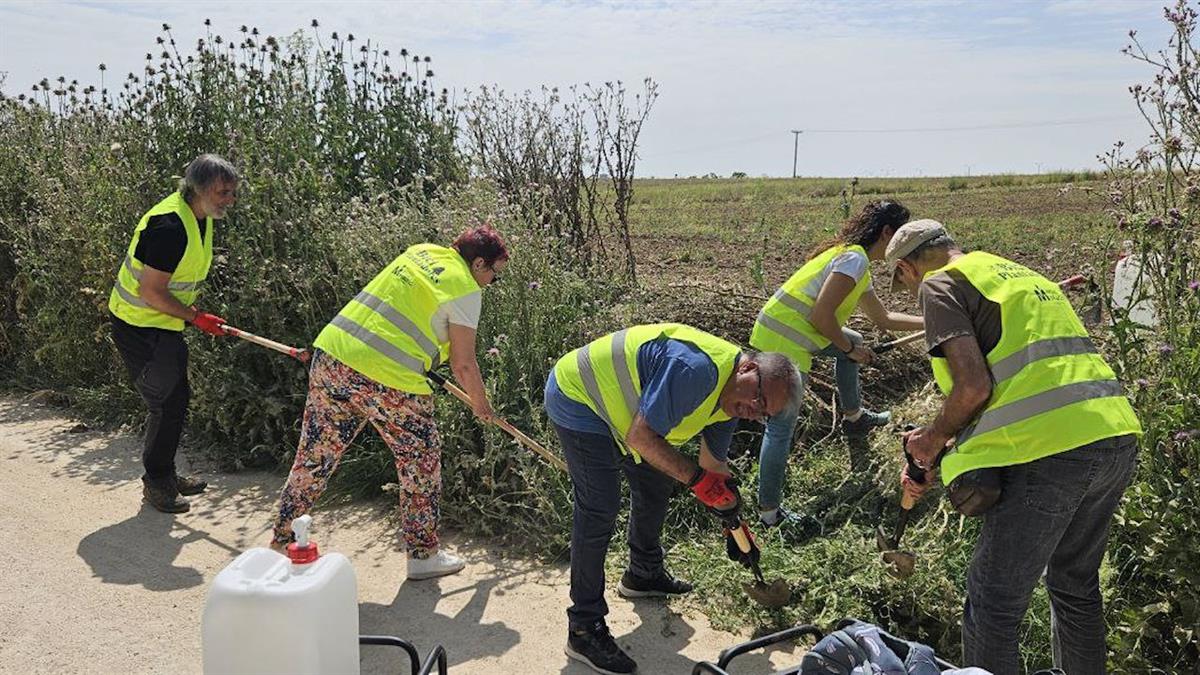 En el Día del Medio Ambiente, la formación verde recuerda que el Gobierno local sigue apostando por políticas sin enfoque ecológico