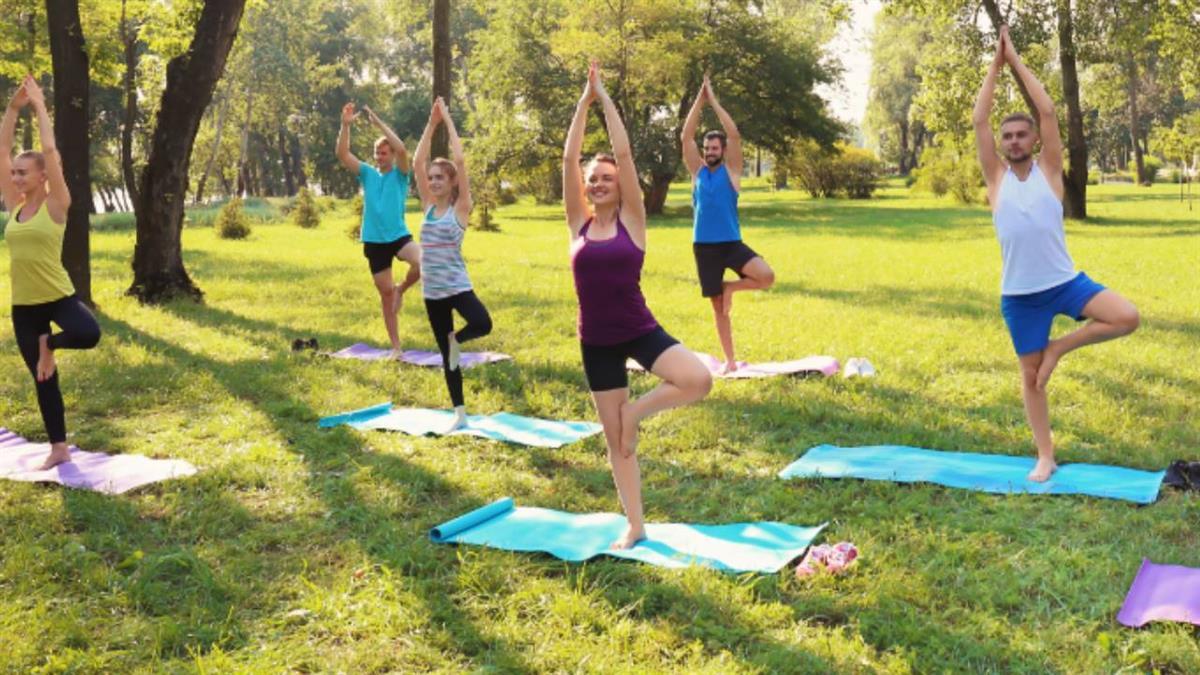 Se han organizado más de 15 actividades gratuitas 