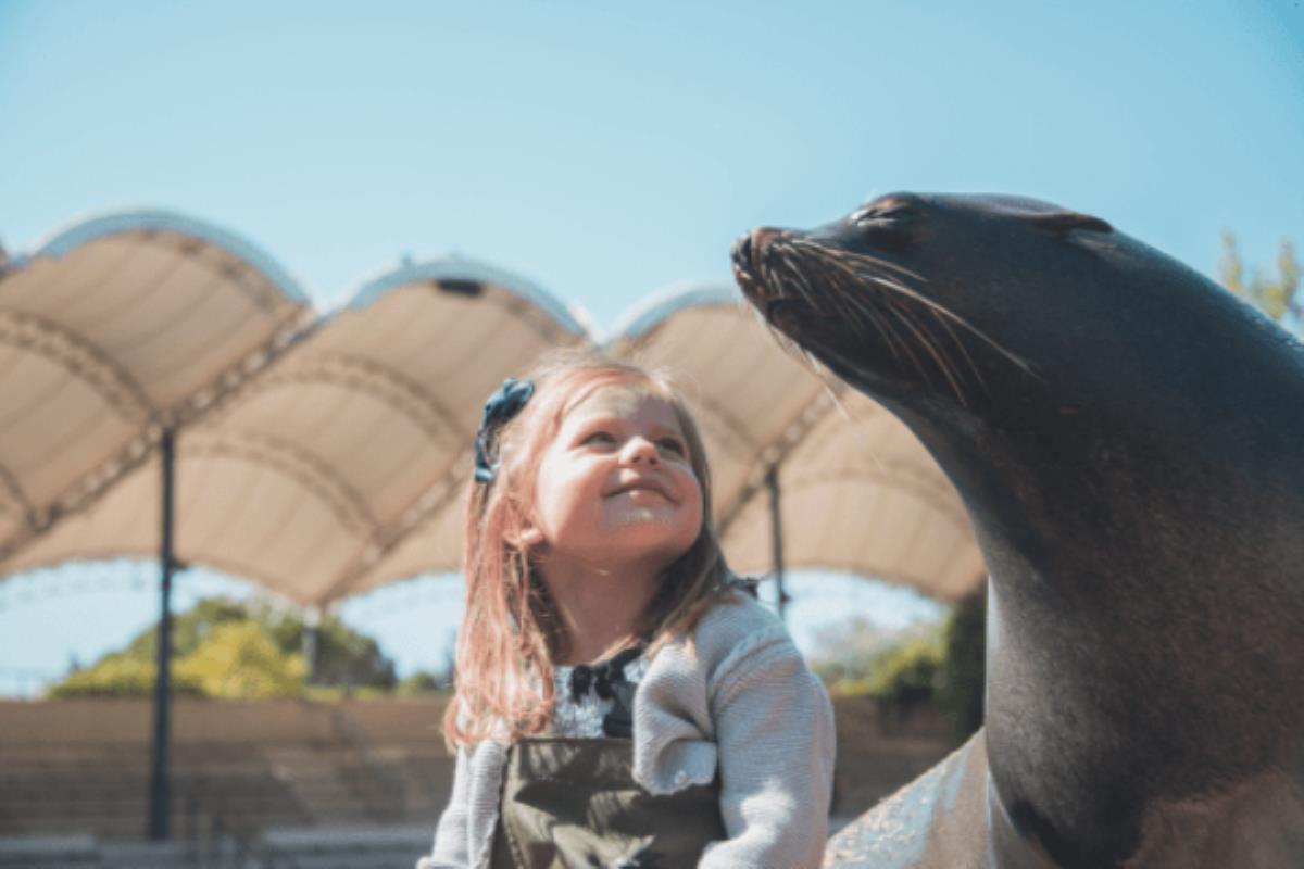 ¿Quieres pasar un día genial? Te presentamos los Días sin cole de Faunia
