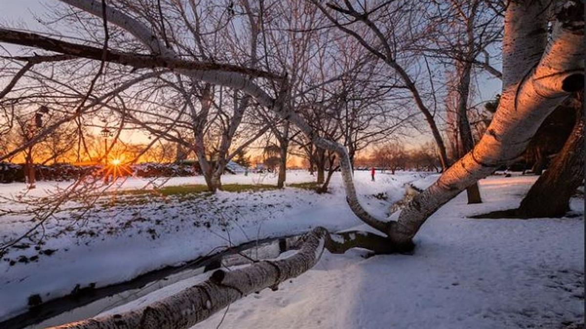 Las ayudas estarás destinadas a reparar los daños causados en las infraestructuras municipales