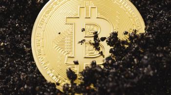 El fin del dinero físico se acerca