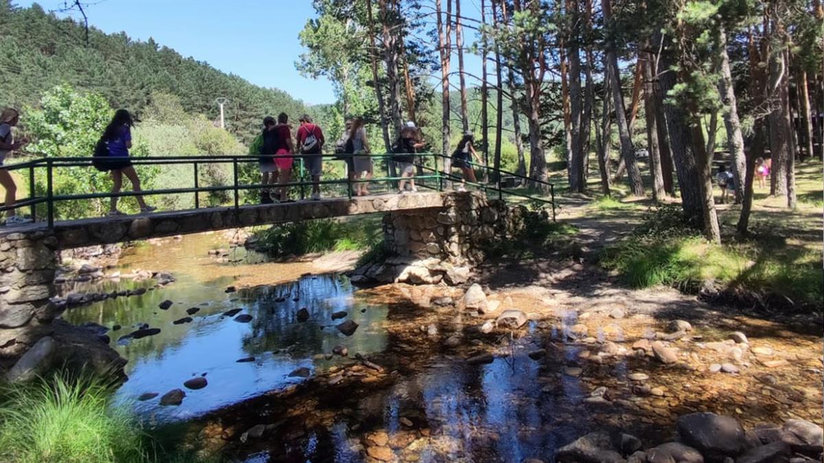 En las actividades para los jóvenes 