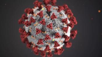 La cifra total de casos confirmados desde que comenzó la pandemia asciende a 2.463