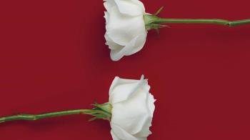 Se trata de una producción propia en forma de lectura dramatizada