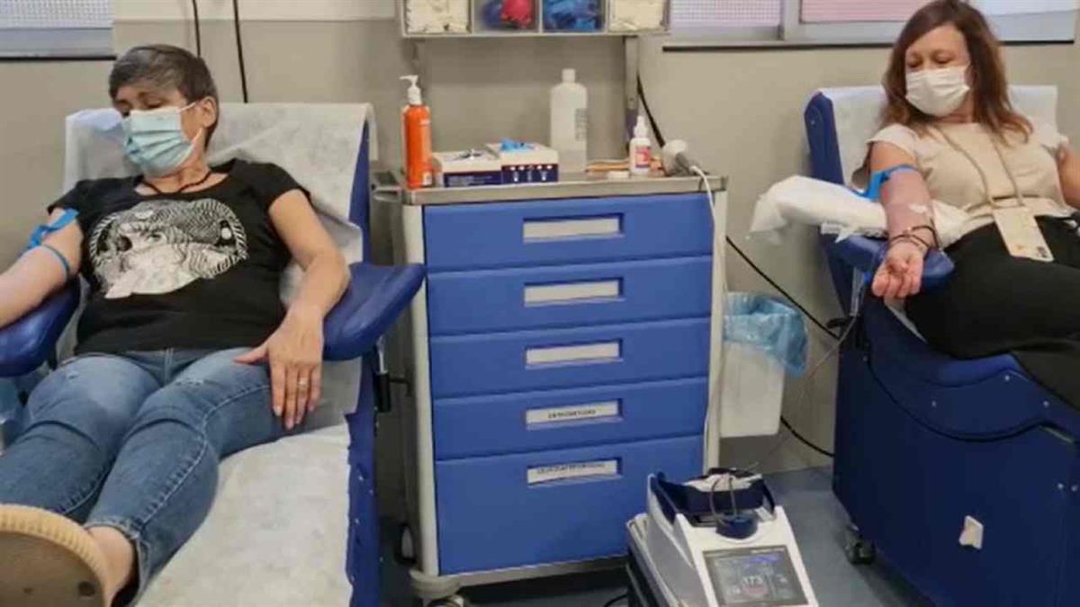 La donación se celebró el pasado el martes 28 de Noviembre