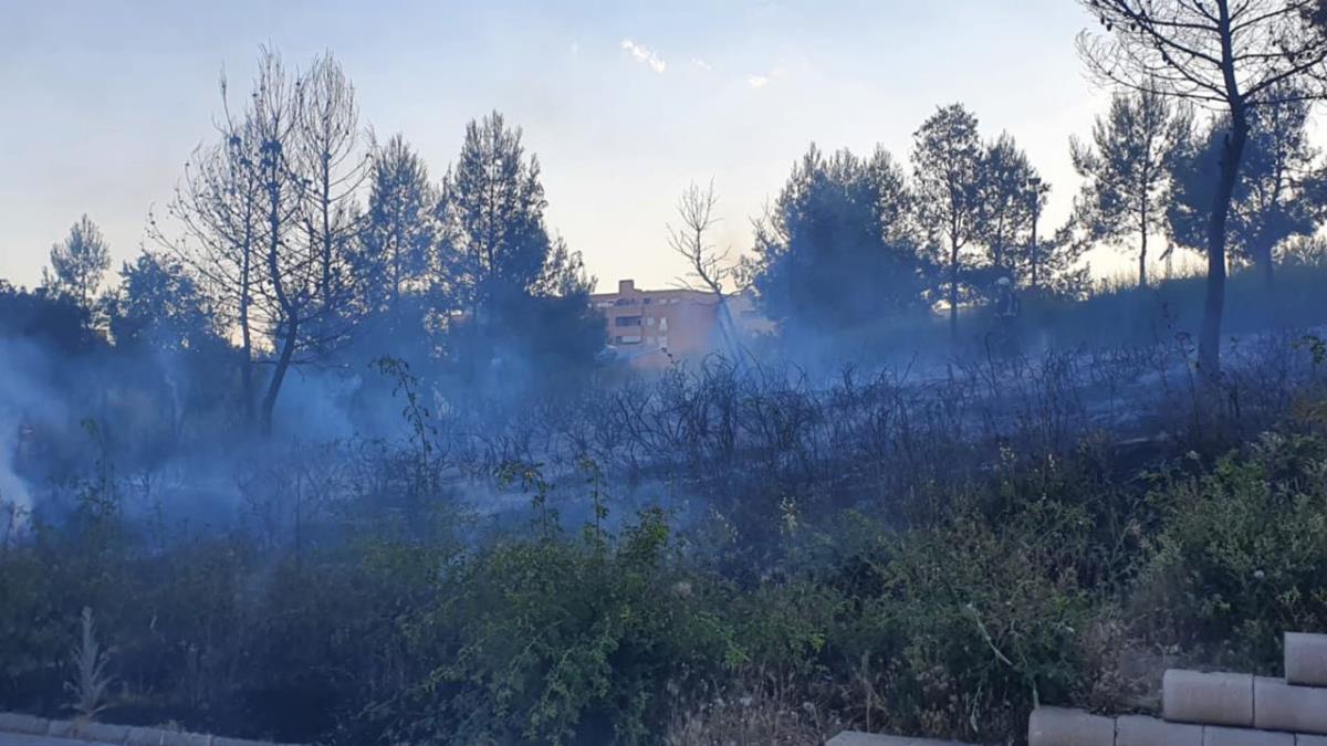 Varios animales tuvieron que ser rescatados por la Policía