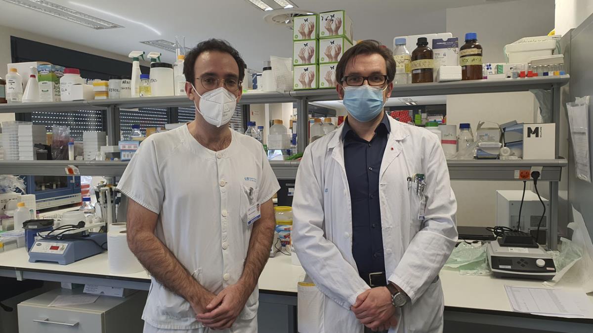 Los sanitarios emprenden estudios sobre nuevas dianas terapéuticas que mejoran la atención al paciente
