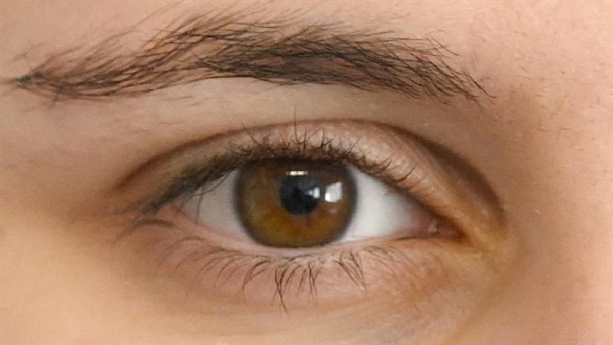 Los oftalmólogos insisten en utilizar únicamente gafas homologadas y extremar la precaución con los niños