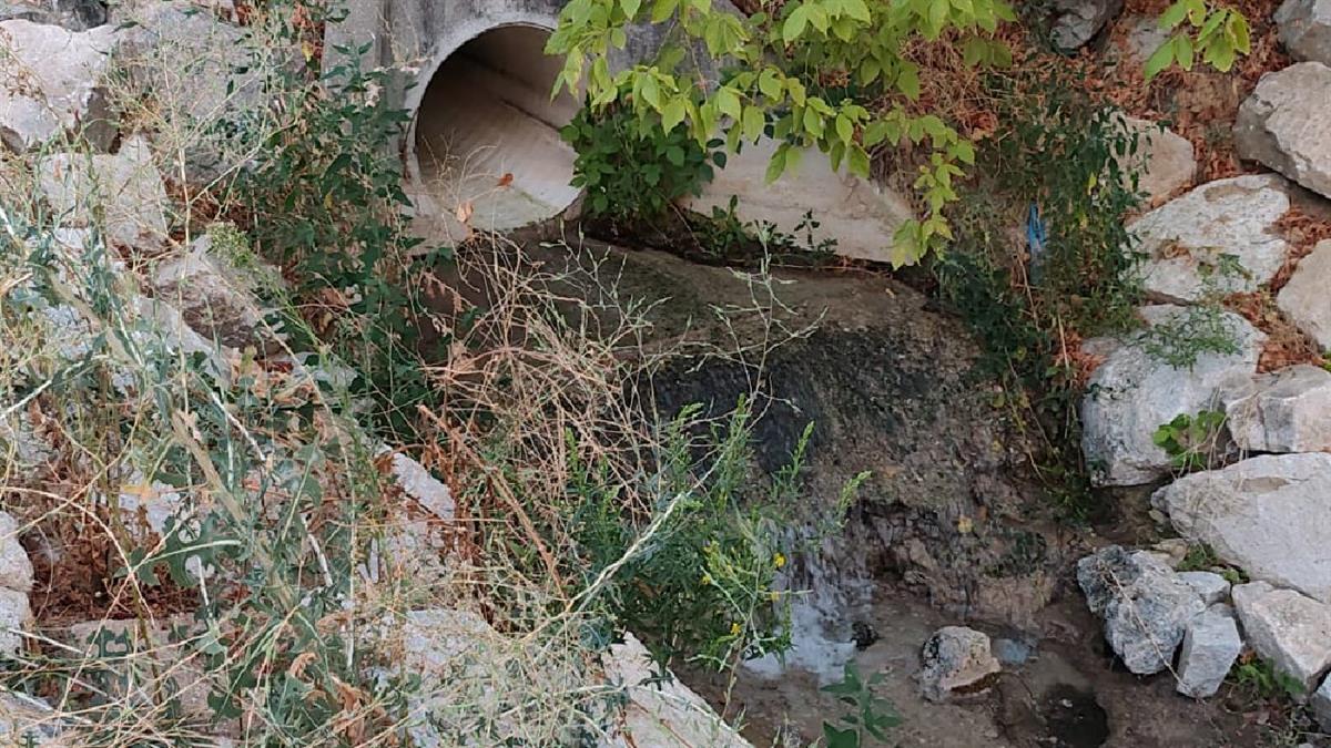 El hecho ha sido denunciado ante la Comunidad de Madrid y la Confederación la Confederación Hidrográfica del Tajo