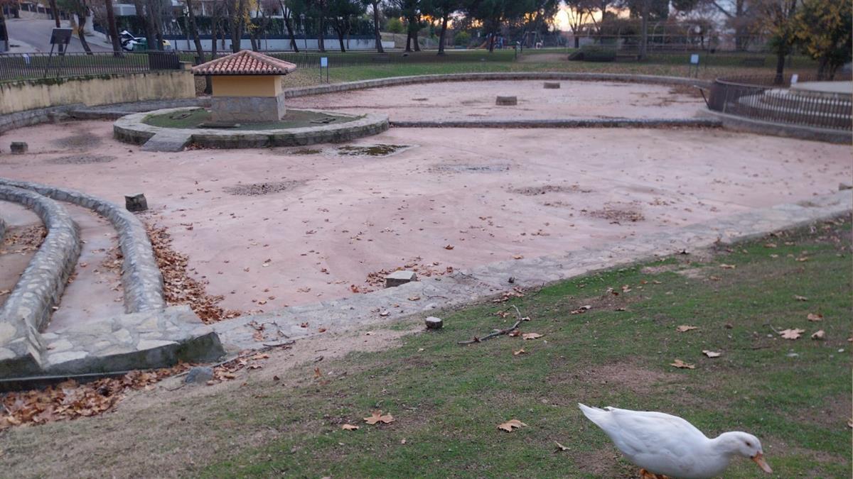 Desde la asociación manifiestan el grave estado del estanque de patos frente al Castillo de la localidad 