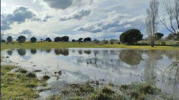 Desde la organización lo consideran "un pelotazo urbanístico en plena crisis climática"
