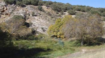 Ecologistas en Acción denuncia la falta de transparencia del Ayuntamiento y la "destrucción"  de este espacio