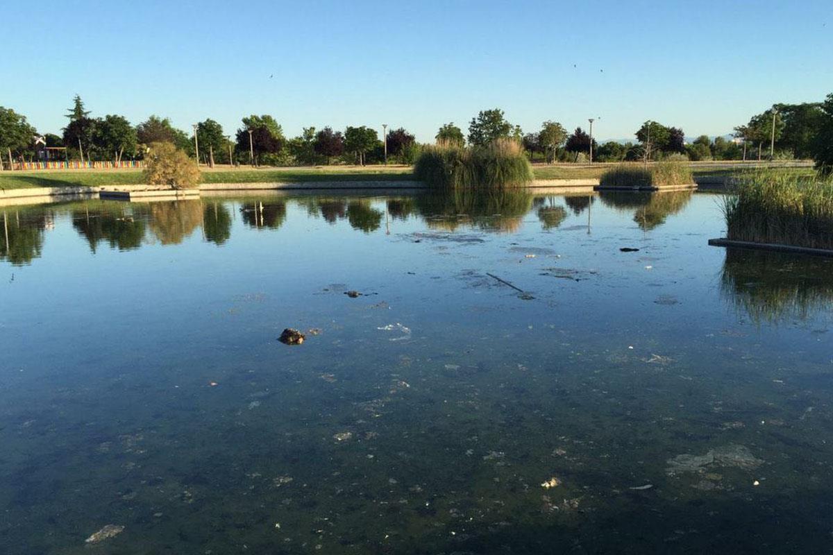 Denuncia la falta de mantenimiento y exigen al ayuntamiento que analicen los cadáveres para saber las causas de muerte