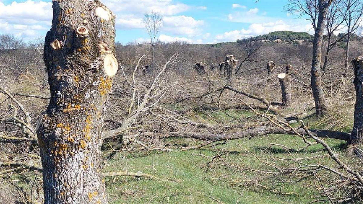 La organización ha presentado alegaciones contra la ampliación de la Autorización Ambiental Integrada de la planta de residuos peligrosos