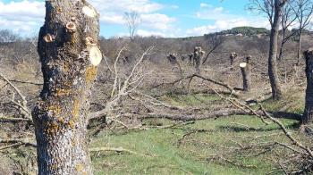 La organización ha presentado alegaciones contra la ampliación de la Autorización Ambiental Integrada de la planta de residuos peligrosos