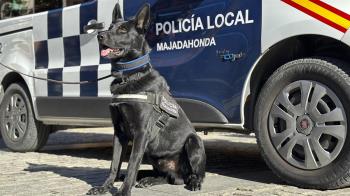 El perro-policía ayudó a detener a un varón que traficaba con drogas