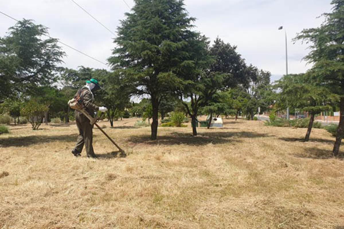 En un comunicado consistorial insta a los vecinos a conservarlas "en condiciones de seguridad, salubridad y ornato"