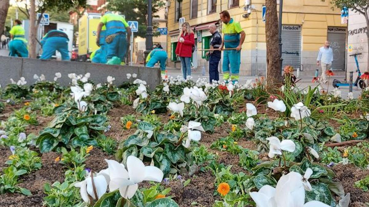 Roberto Sotomayor ha apuntado que como candidato a la alcaldía se compromete a proteger y apoyar las iniciativas vecinales 