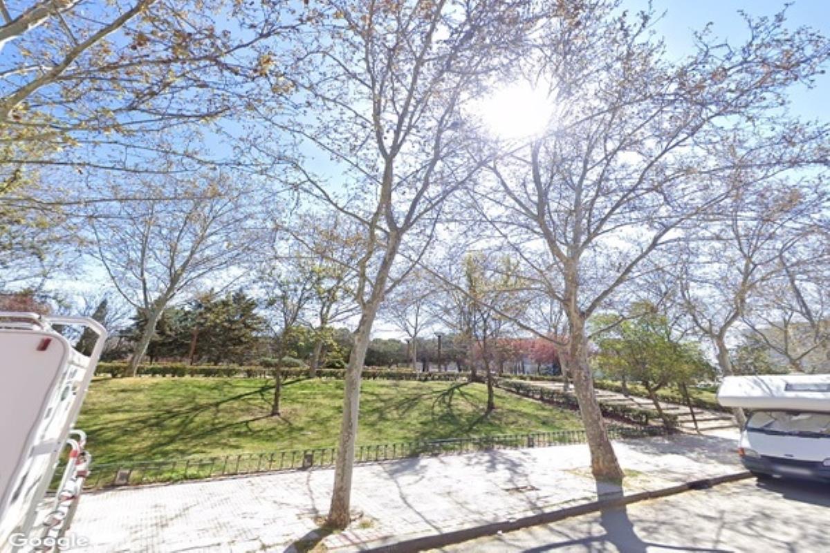 La empresa Saniterpen ejecuta el plan hasta 2022 en los más de 75.000 árboles del municipio